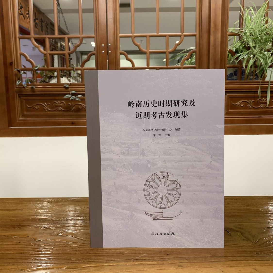 岭南历史时期研究及近期考古发现集深圳市文化遗产保护中心王军正版包邮文物/考古文物出版社近年来深圳市考古发掘和研究论文集