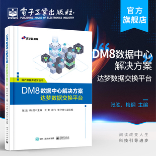 官方旗舰店 DM8数据中心解决方案——达梦数据交换平台 张胜 数据源管理变量调度监控权限版本管理梦数据交换集群 数据库书籍