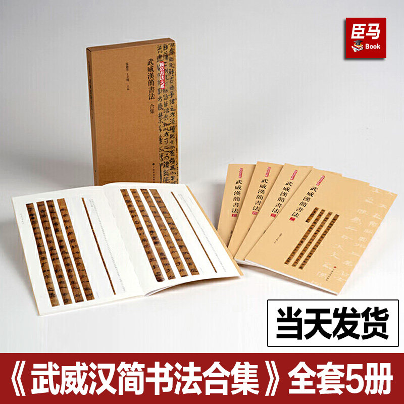 全5册 武威汉简书法合集 简帛书法大系 原帖简体旁注局部放大隶书篆书毛笔软笔书法字帖初学者临摹练字学习教程书籍上海书画出版社
