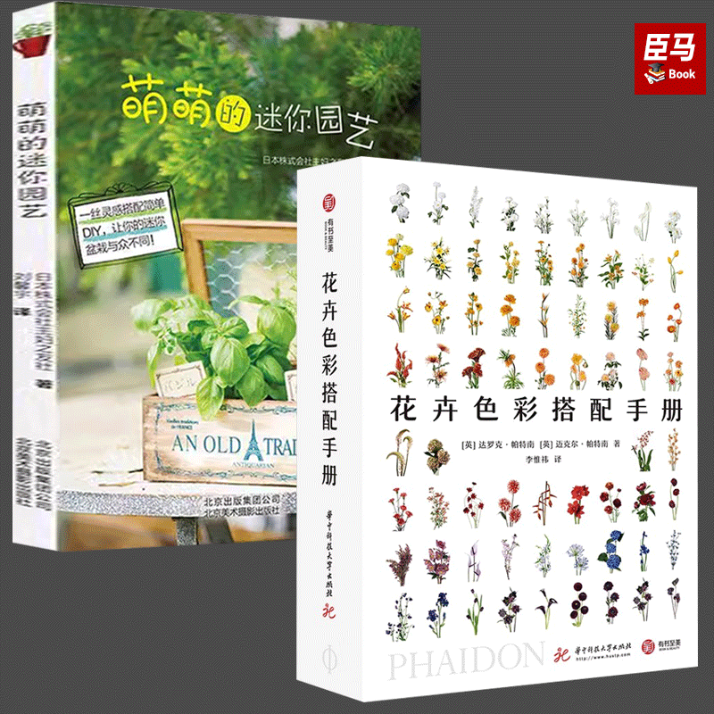 萌萌的迷你园艺+花卉色彩搭配手册 《 欧阳娜娜同款》花艺师工具书配色方案