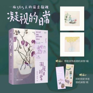 【赠装饰画+书签】凝视的日常 限量签名版 阿籽奶奶的生活艺术手记 与世界和解 对抗焦虑的勇气 浙江人美出版社 正版书籍包邮