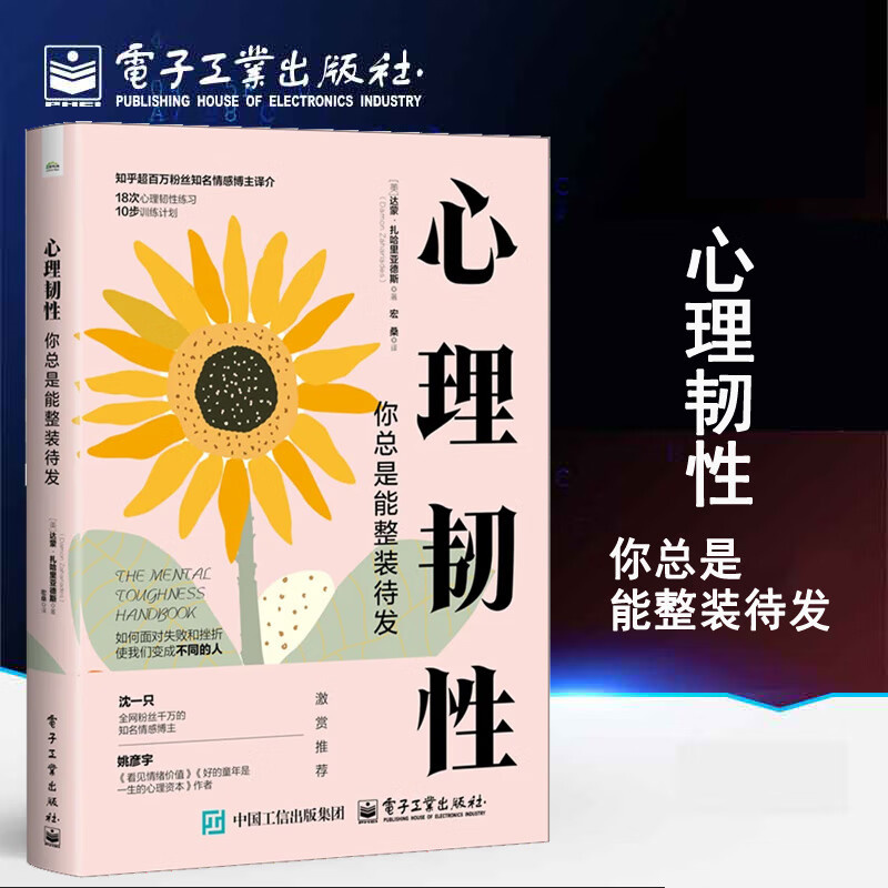 心理韧性 你总是能整装待发 达蒙·扎哈里亚德斯 心理韧性练习 训练计划书籍 如何面对失败和挫折 建立心理韧性书籍hmcy