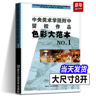 大8开 中央美术学院附中留校作品色彩大范本1 美院教学世界经典人物色彩范画 临摹、教学、鉴赏高清晰大范本 美术类学生专业参考系