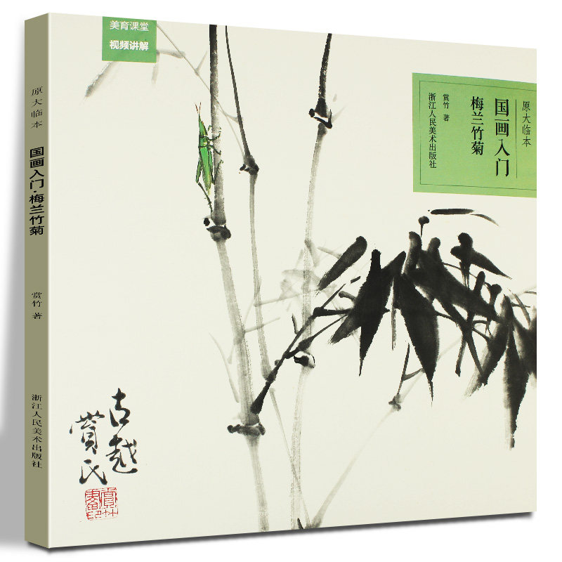 原大原色临本视频教程 初学者国画入门基础教程书写意水墨花卉画册页