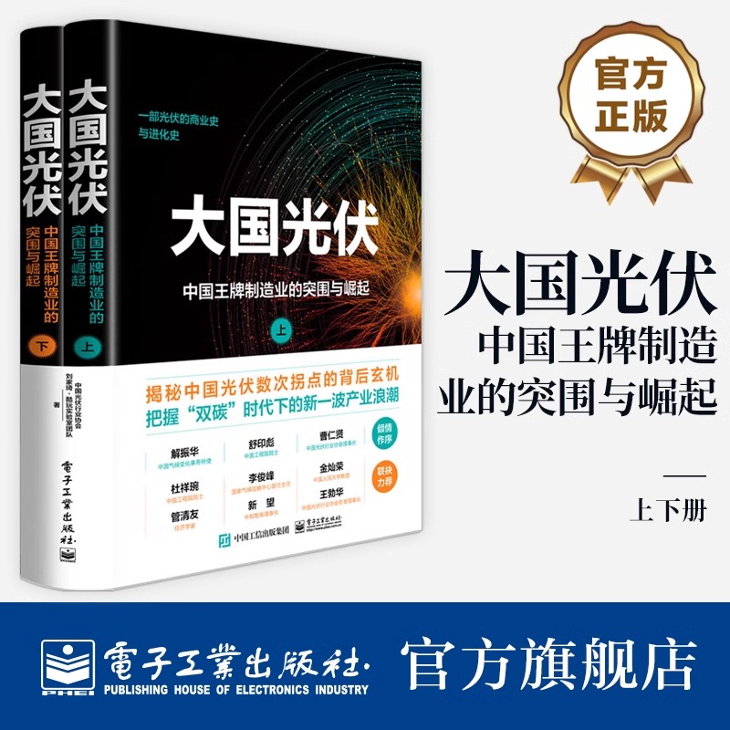 官方旗舰店 大国光伏 中国王牌制造业的突围与崛起 中国光伏行业数十年发展历程与辉煌成就的纪实性著作 电子工业出版社