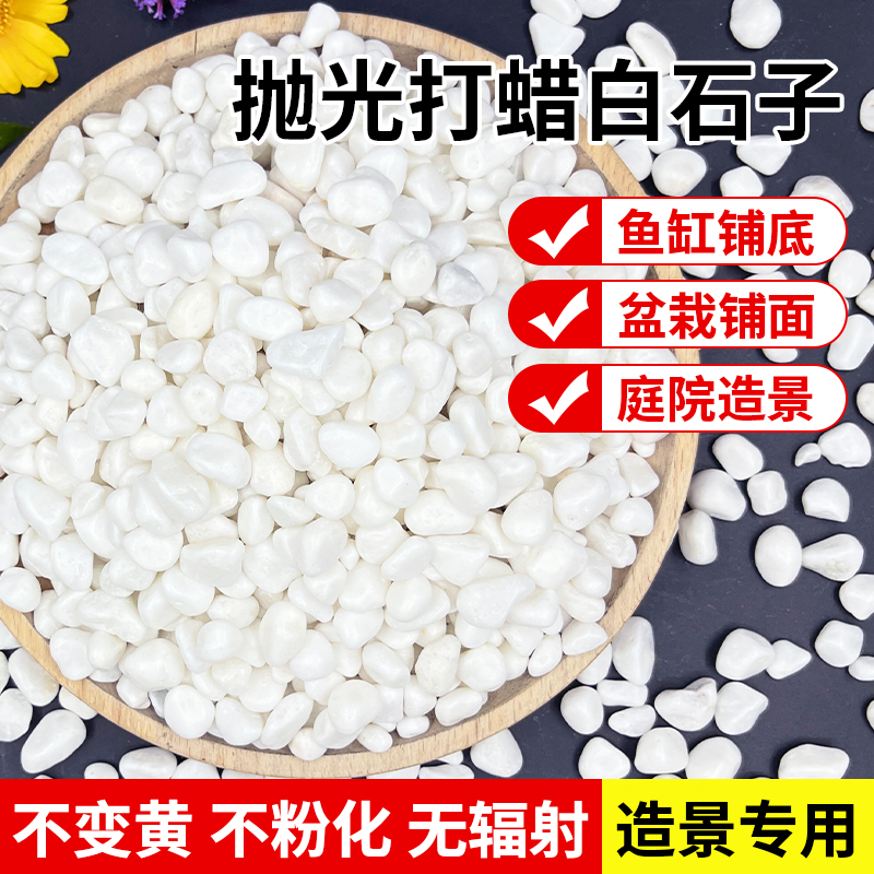 40斤装白色天然鹅卵石铺地抛光雨花石鱼缸造景庭院白石头水培原石