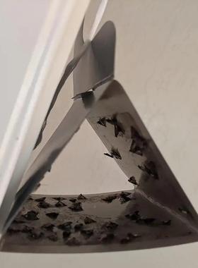 紫色钩子蛾钩飞蛾子诱飞捕器粘飞蛾飞蛾捕捉器蛾贴飞MYQ-C-00蛾飞