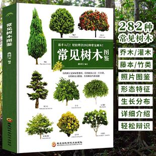 轻松辨识282种常见数目辨认常见树木指南书籍园林植物苗木大全植物图鉴大自然植物乔木灌木盆栽LZM 常见树木图鉴 速发 正版