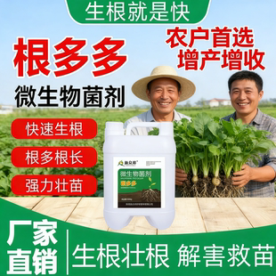 快速强力扦插生根液壮苗氨基酸有机水溶叶面肥爆根多多微生物菌剂