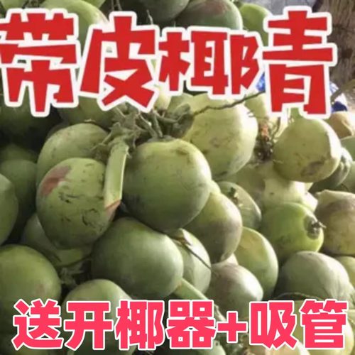 海南新鲜椰子嫩椰子带皮当季椰青