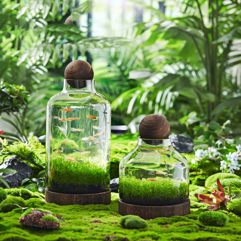 日式透明加厚玻璃鱼缸木托创意生态瓶椭圆生财瓶水培瓶厂家直供