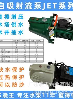 广东凌王自吸泵射流泵喷射泵高楼增压水塔供水水井抽水家用农