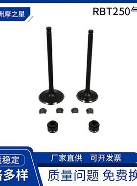 摩托车发动机气门适用RBT250 RATO VORTX250 CPS250 RT250 油封