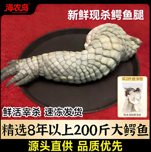 海农岛生鲜大鳄鱼掌鳄鱼肉新鲜煲汤食材鄂鱼腿掌3-8斤 不卖冷冻肉
