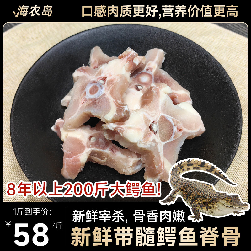 海农岛人工养殖鳄鱼新鲜鳄鱼骨油炸焖煲汤香甜味食用鳄鱼脊骨500g