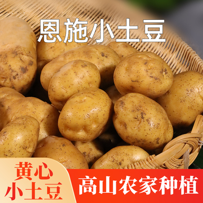 恩施小土豆5斤农家自种