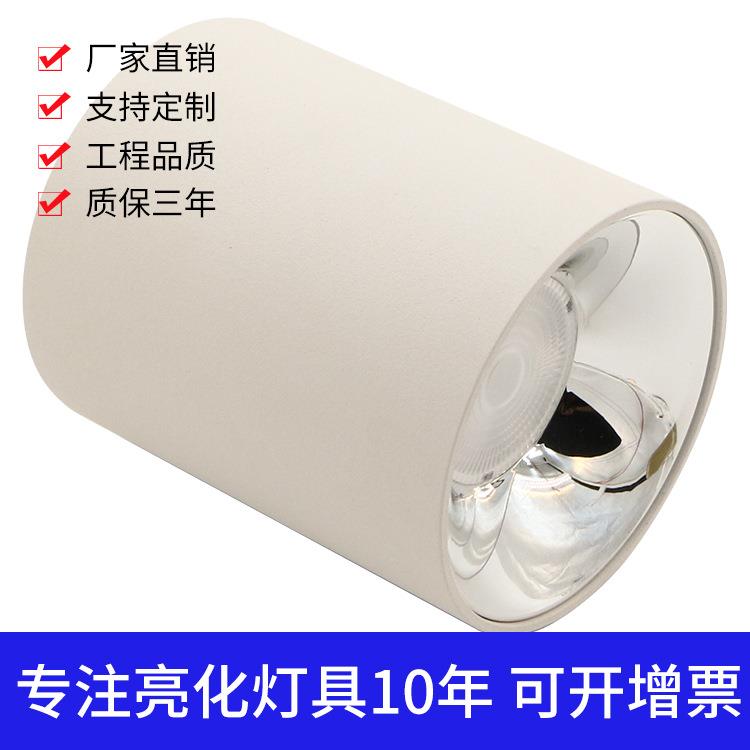 10W20W30W40W圆形明装筒灯COB防眩光压铸铝高档餐厅娱乐吊装筒灯