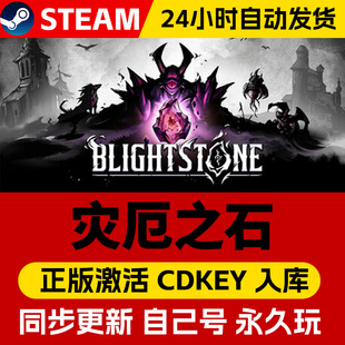 STEAM游戏 灾厄之石 全球区激活码CDK 永久入库 全DLC