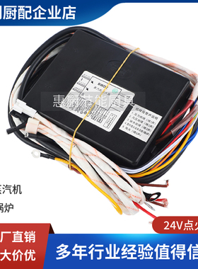 本威商用燃气厨房蒸汽机蒸炉脉冲点火器控制器蒸汽发生器通用配件