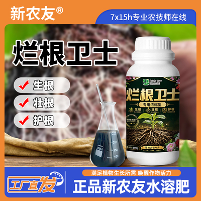 爆发白根防止烂根绿植花卉通用