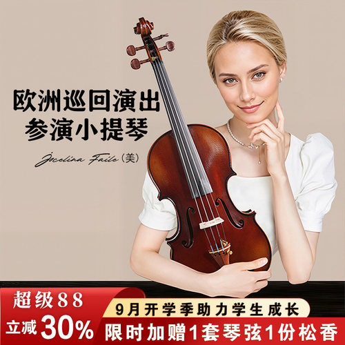 SEENWINS圣维斯012纯手工小提琴