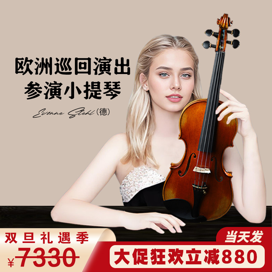 专业演奏小提琴SEENWINS