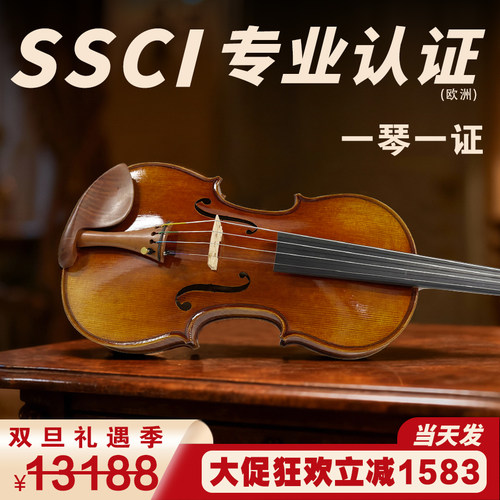 专业级小提琴SEENWINS