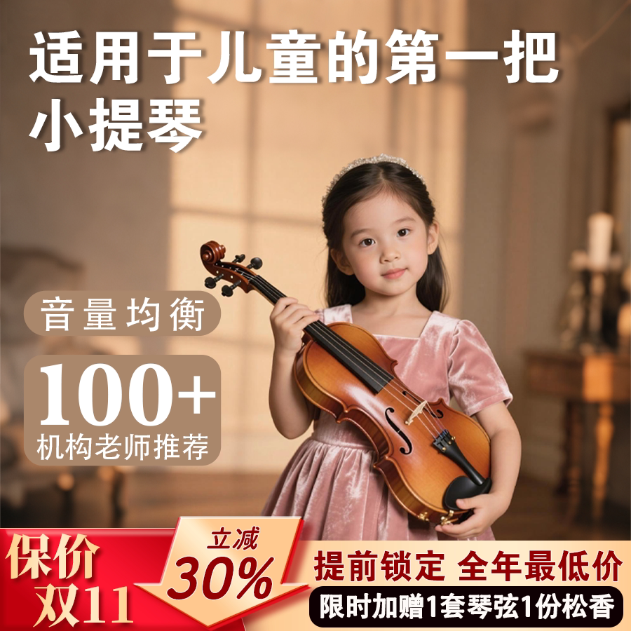 SEENWINS圣维斯sw205小提琴儿童初学新手入门款手工小提琴旗舰店