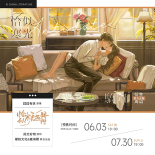 《恰似寒光遇骄阳》原著衍生周边官方正版-沙发款（无亲签）