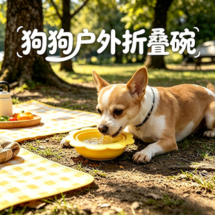 吉娃娃专用狗狗宠物折叠碗小狗外出喝水神器狗碗狗盆食盆折叠水盆