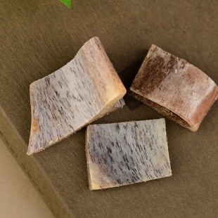 孟加拉泡酒骨头高密度满蝌满血丝瓜状骨髓蚪纹仿大猫的动物切片