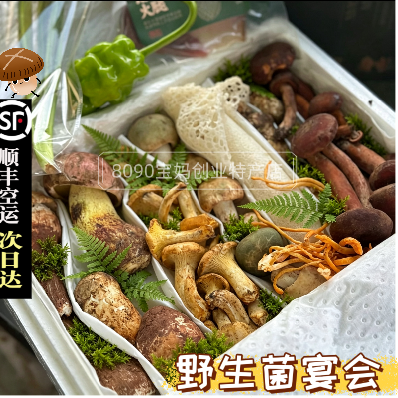 野生菌组合 新鲜组合杂菌见手青鸡枞菌松茸菌子野生菌菇鲜蘑菇