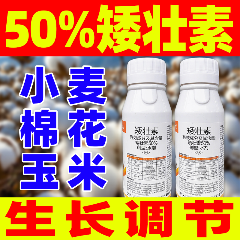 50%矮壮素小麦玉米棉花生长调节剂植物生长产量防止倒伏正品农药