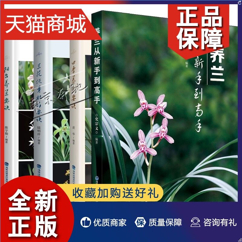正版 4册养兰从新手到高手 史宗义 四季养兰要诀 兰花促芽壮苗要诀