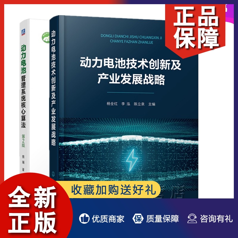 正版2册动力电池技术创新及产业发展战略+动力电池管理系统核心算法第2版动力电池发展锂硫电池全固态电池动力电池生产科技应用-封面