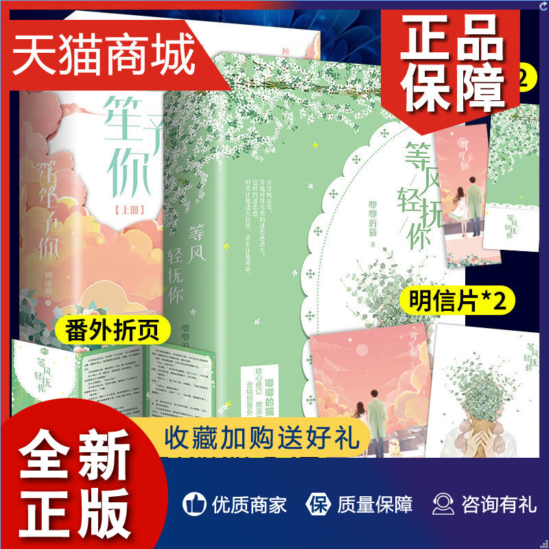 正版正版等风轻抚你+笙笙予你全2册阅文集团顾南西集温润与偏执为一体的外科医生vs洒脱自我神秘感十足摇滚女星可搭难哄