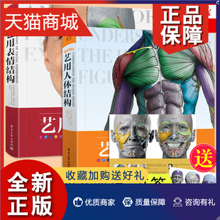 艺用人体结构素描临摹画册人体解剖学画画 艺用表情结构 书人体结构原理艺术书籍凤凰 正版