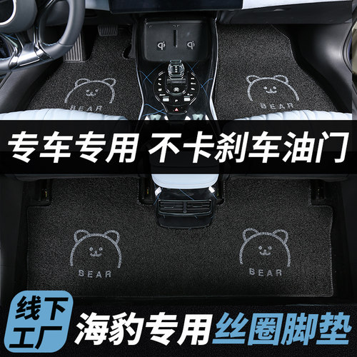 比亚迪海豹专用汽车丝圈脚垫