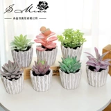 Ретро суккуленты в горшках, новые цветы, комнатные украшения, растения, бонсай, украшения, зеленые растения Shang Miaoyoufu