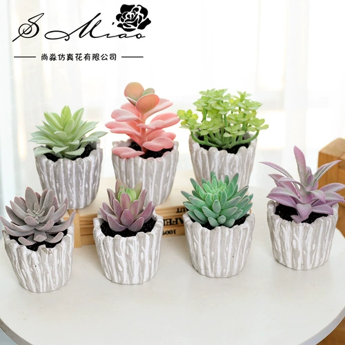 Ретро суккуленты в горшках, новые цветы, комнатные украшения, растения, бонсай, украшения, зеленые растения Shang Miaoyoufu