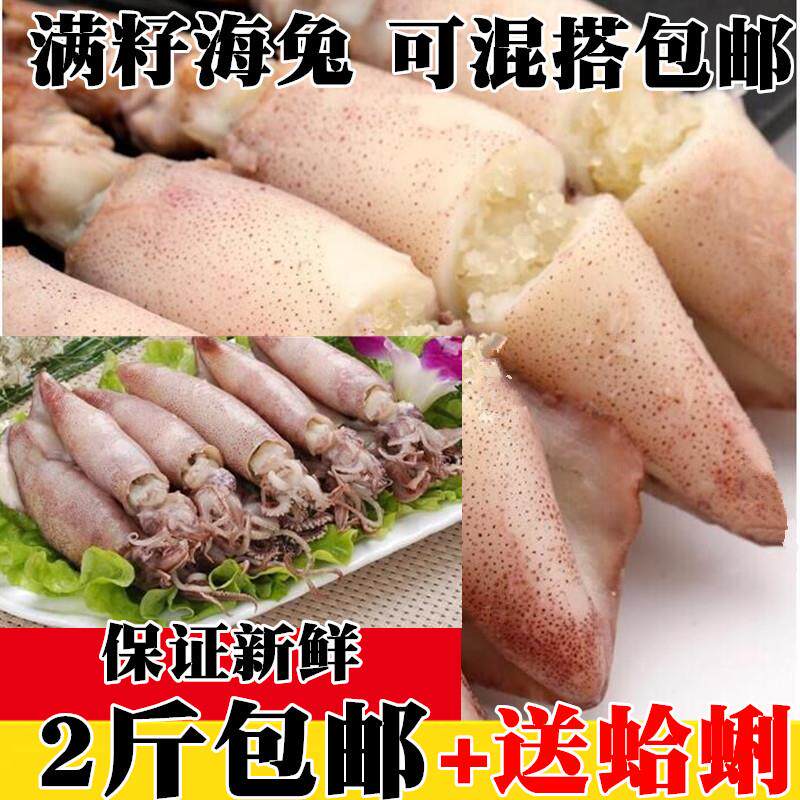 正货满籽海兔新鲜海兔子笔管鱼鲜活籽乌小鱿鱼八爪鱼墨鱼小海兔子