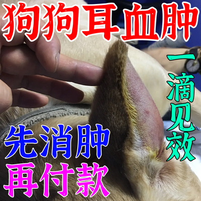 狗狗耳血肿猫狗耳朵发炎药