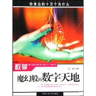 正版 数字天地庄浪合肥工业大学出版 书 数学魔幻般 社 包邮