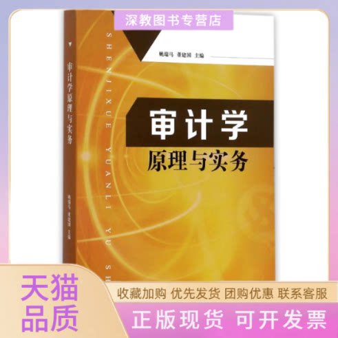 【正版书包邮】审计学原理与实务姚瑞马姚瑞马董建国江苏大学出版社