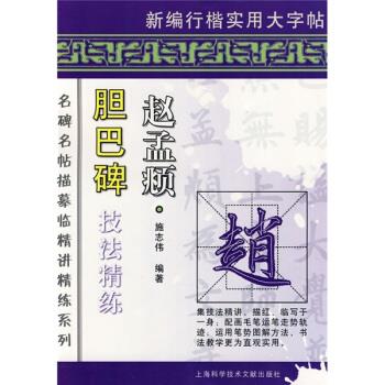 【正版书包邮】九成新 赵孟頫胆巴碑技法精练施志伟上海科学技术文献出版社