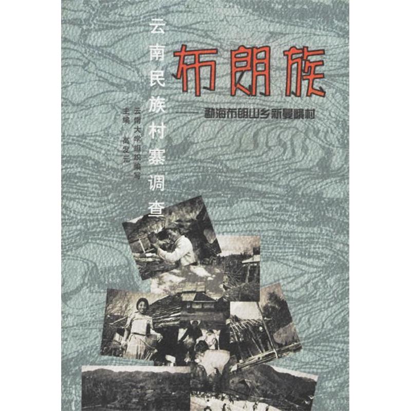 【正版书包邮】云南民族村寨调查布朗族高发元云南大学出版社