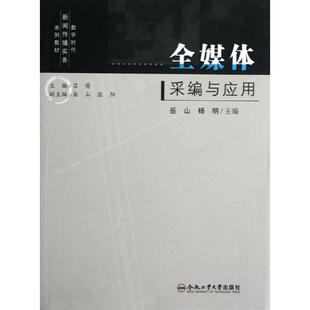 【正版书包邮】全媒体采编与应用岳山合肥工业大学出版社