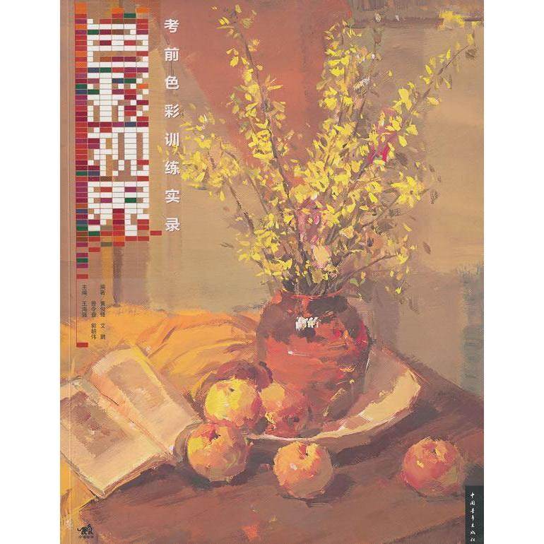 【正版书包邮】色彩视界色彩训练实录黄俊锋曾令香艾鹏中国青年出版社