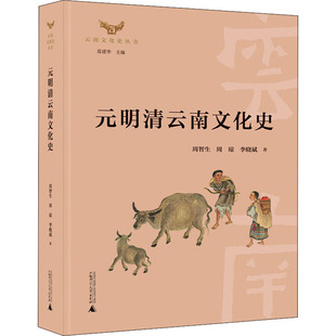 元 包邮 书 明清云南文化史周琼广西本社 正版
