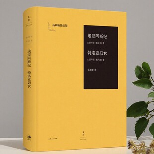 【正版好书】埃涅阿斯纪 杨周翰作品集01 维吉尔古罗马塞内加 杨周翰译著 上海人民出版社 文学书籍 9787208136175